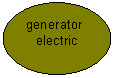 Oval: generator
electric
